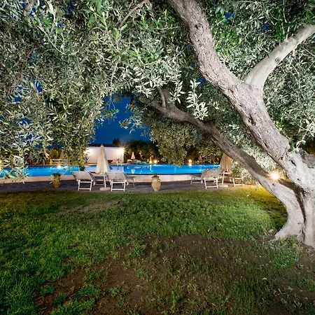 Summer Holidays - Cala Del Turco House *